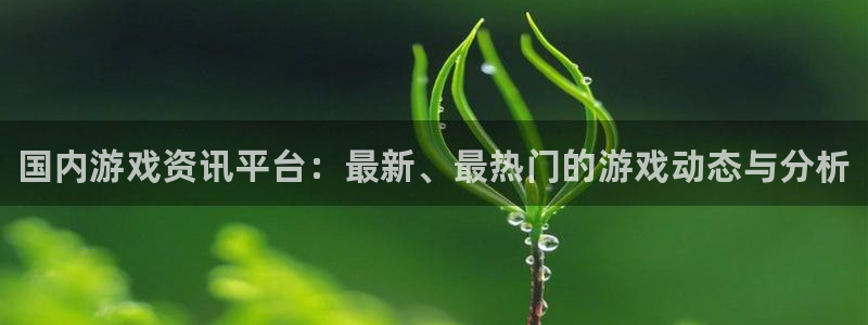赢咖娱乐平台注册：国内游戏资讯平台：最新、最热门的游戏动态与