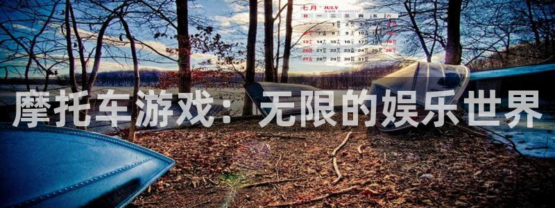 赢咖娱乐平台登录：摩托车游戏：无限的娱乐世界