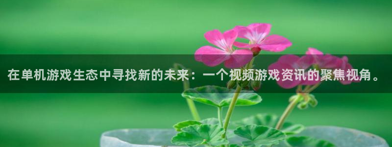 赢咖娱乐登陆测速：在单机游戏生态中寻找新的未来：一个视频游戏