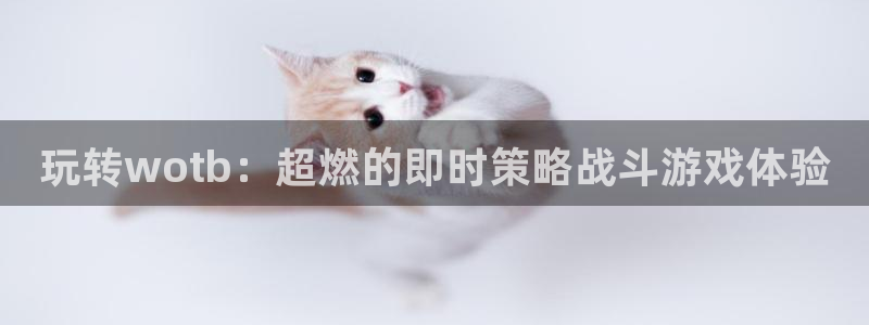 赢咖娱乐是什么：玩转wotb：超燃的即时策略战斗游戏体验