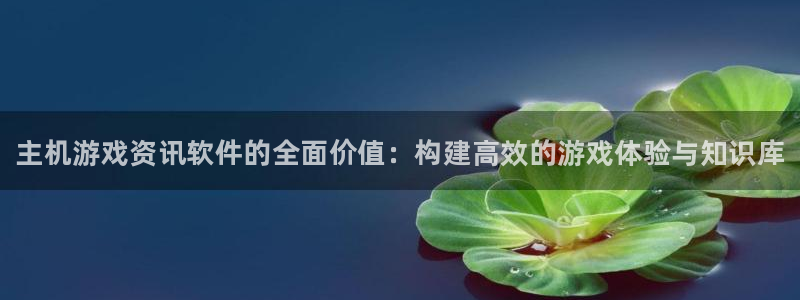 赢咖娱乐登录网址：主机游戏资讯软件的全面价值：构建高效的游戏