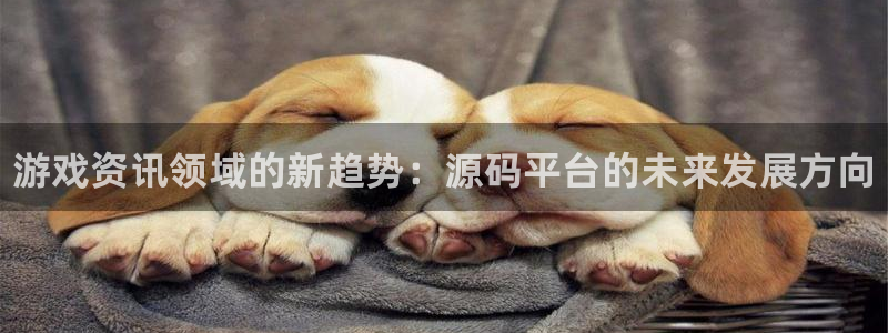 赢咖娱乐代理登陆：游戏资讯领域的新趋势：源码平台的未来发展方