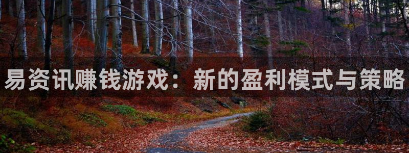 赢咖娱乐平台官网入口：易资讯赚钱游戏：新的盈利模式与策略