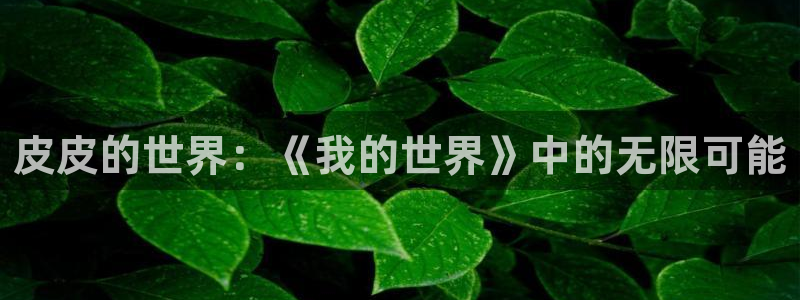 赢咖娱乐app下载|下载地址：皮皮的世界：《我的世界》中的无