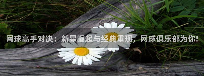 赢咖娱乐升级5994月：网球高手对决：新星崛起与经典重现，网