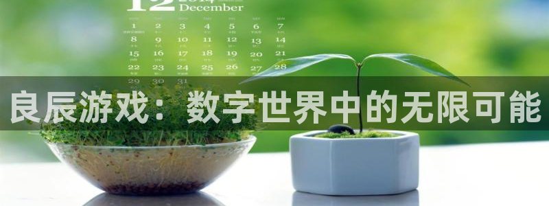 赢咖娱乐下载链接：良辰游戏：数字世界中的无限可能