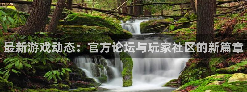 赢咖娱乐什么意思：最新游戏动态：官方论坛与玩家社区的新篇章