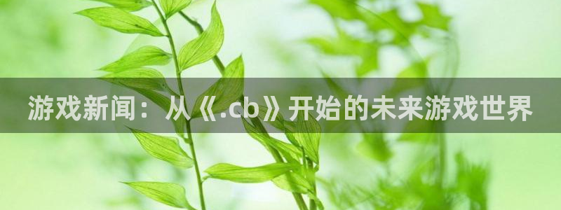 赢咖娱乐测速：游戏新闻：从《.cb》开始的未来游戏世界