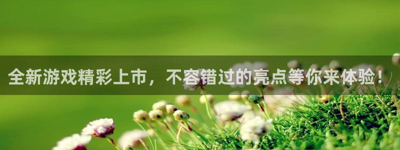 赢咖娱乐平台：全新游戏精彩上市，不容错过的亮点等你来体验！