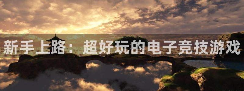 赢咖娱乐注册网站：新手上路：超好玩的电子竞技游戏